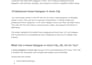 provide SEO content writing blog posts articles and on page optimization